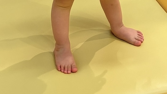 子どもの足